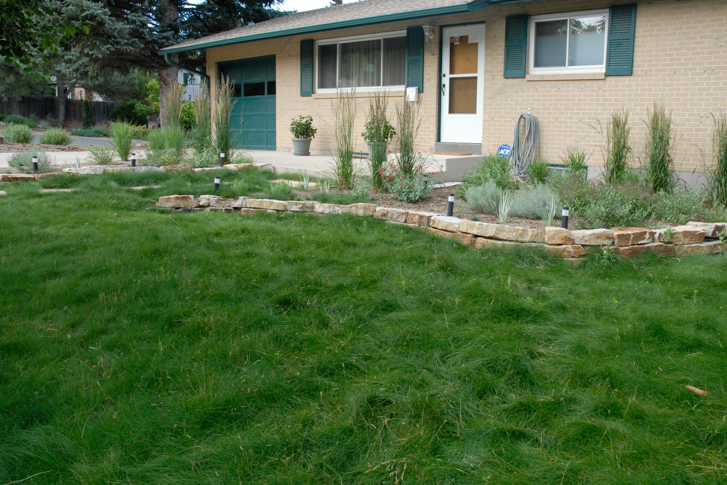 Low Maintenance Reno